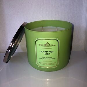 Bath and Body Works “Eucalyptus Mint”